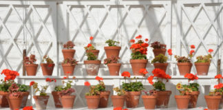 La serra da balcone 508 0 042 La serra da balcone